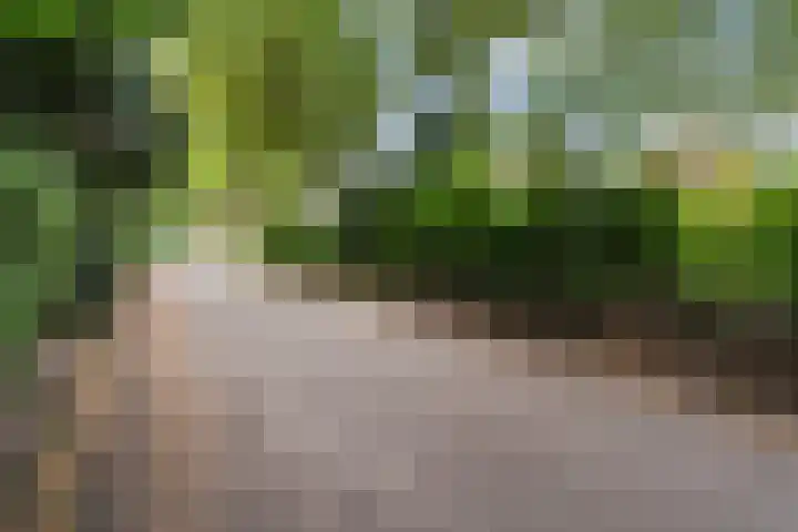 Egypte 2 Otterlo thumbnail 62