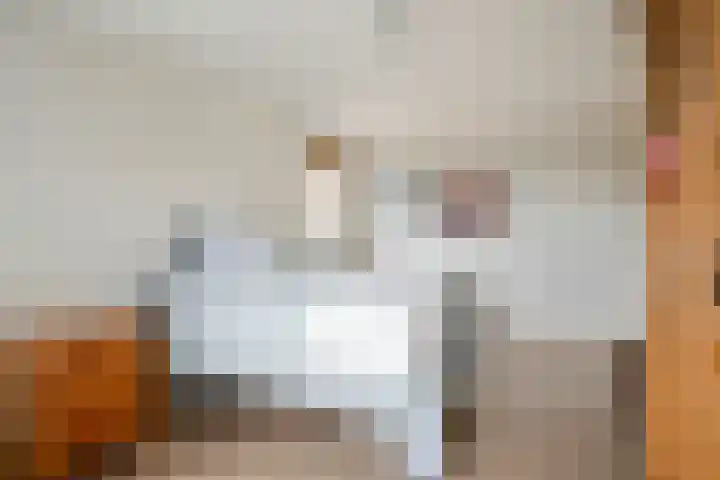 Egypteneinde 7 Veendam thumbnail 42