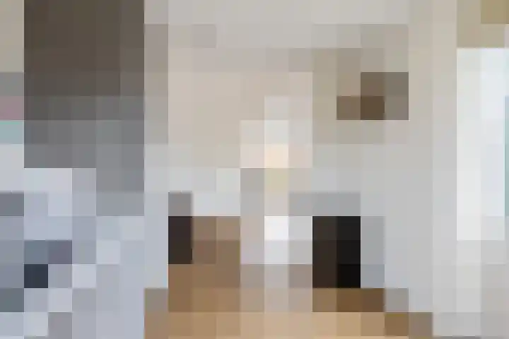 Eiberlaan 56 Foxhol thumbnail 15