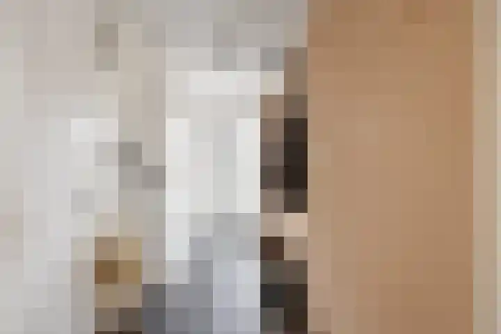 Eiberlaan 56 Foxhol thumbnail 17