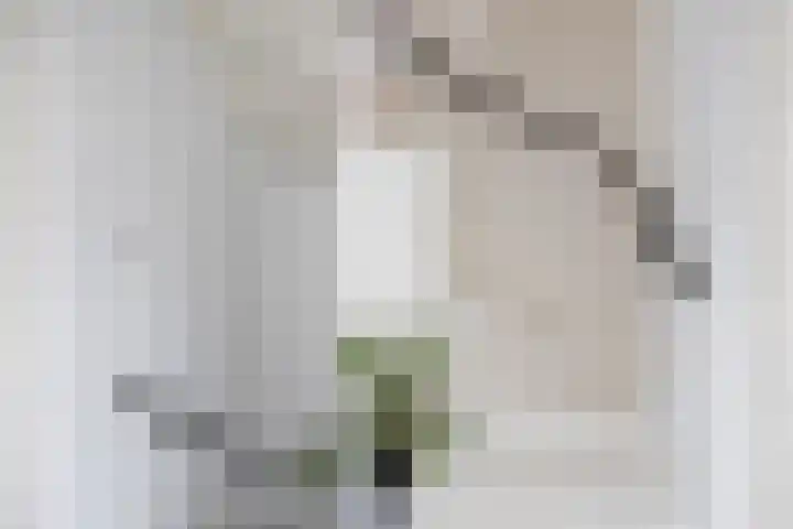 Eiberlaan 56 Foxhol thumbnail 19