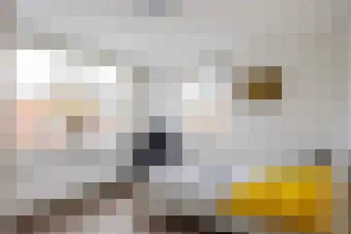 Eiberlaan 56 Foxhol thumbnail 22
