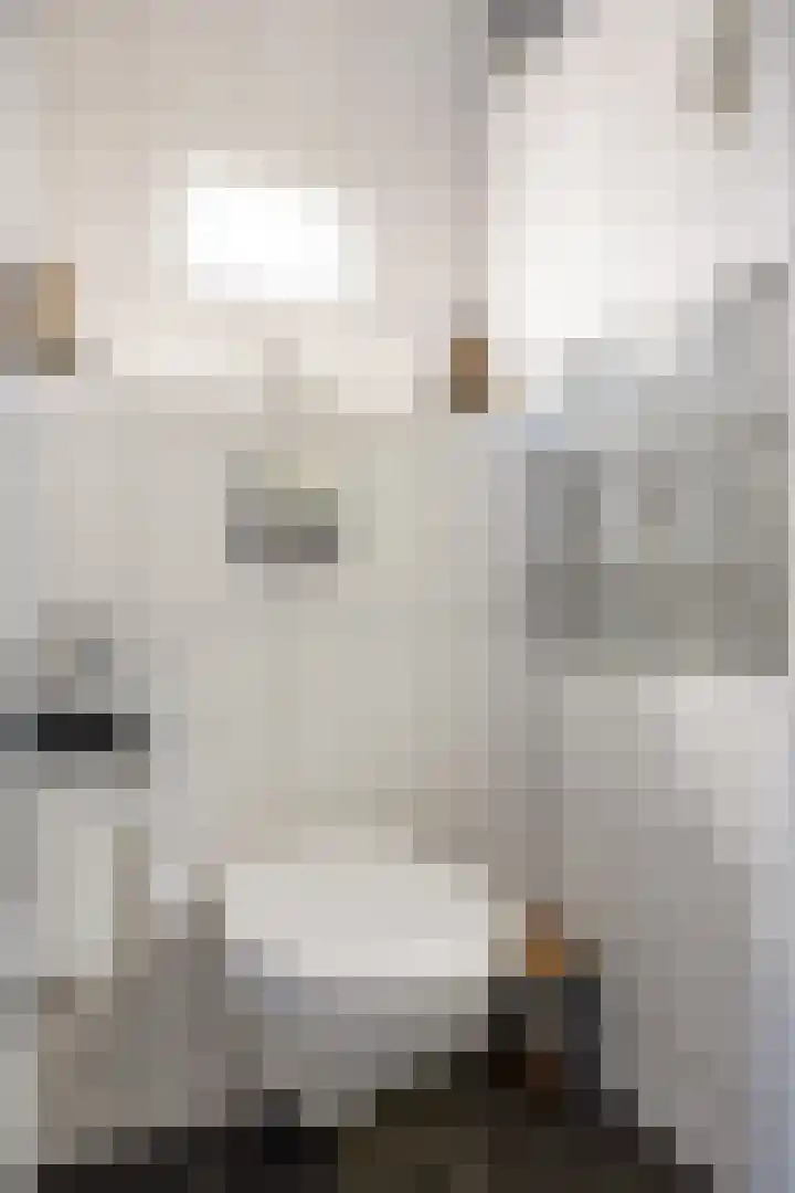 Eiberlaan 56 Foxhol thumbnail 27