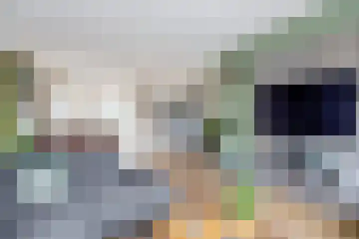 Eiberlaan 56 Foxhol thumbnail 8
