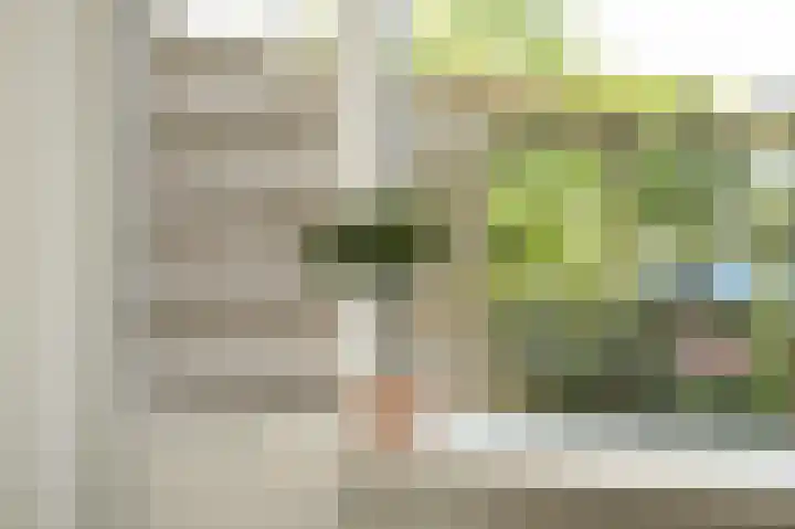 Eiberstraat 133 Velp thumbnail 21