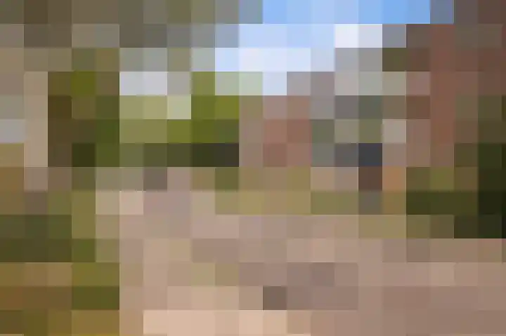 Eiberstraat 133 Velp thumbnail 31