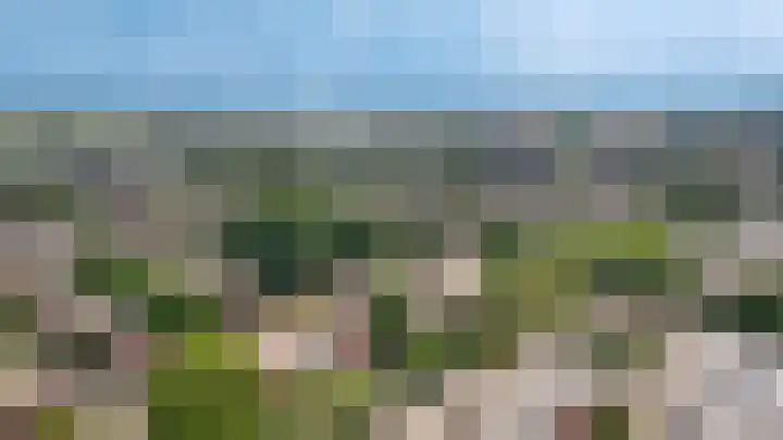 Eiberstraat 133 Velp thumbnail 35