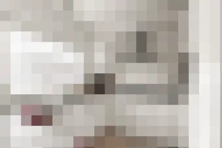 Eiberstraat 3 Velp thumbnail 11