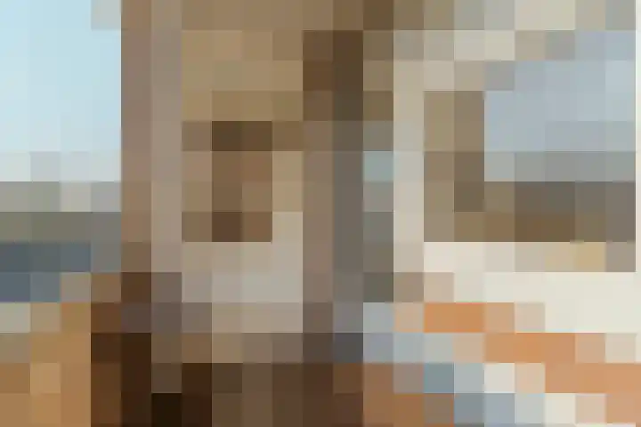 Eiberstraat 3 Velp thumbnail 21