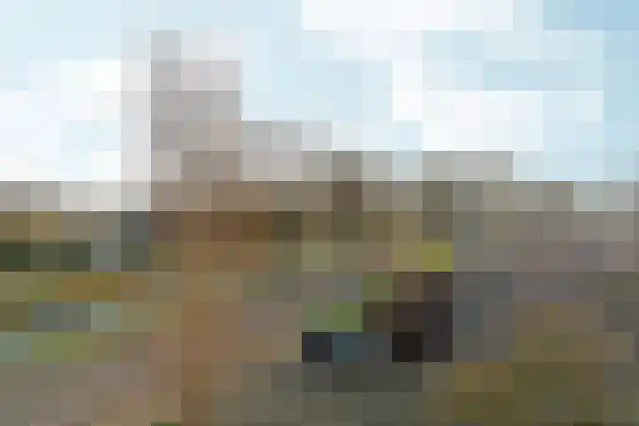Eiberstraat 3 Velp thumbnail 23