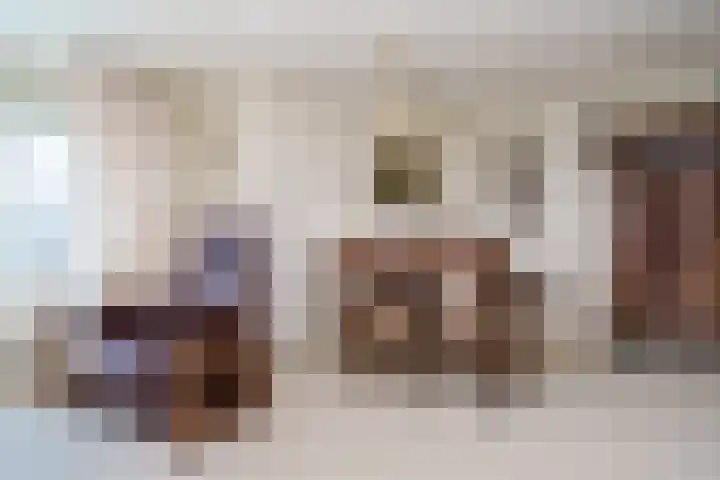 Eickerveld 37 Echt thumbnail 18