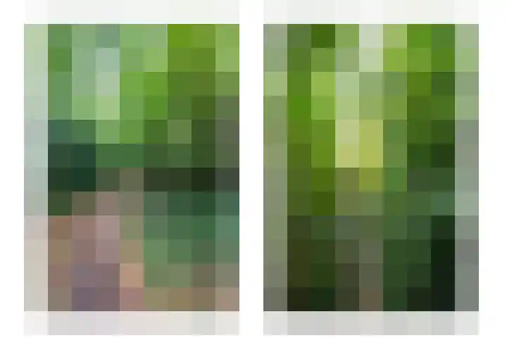 Eickerveld 37 Echt thumbnail 20