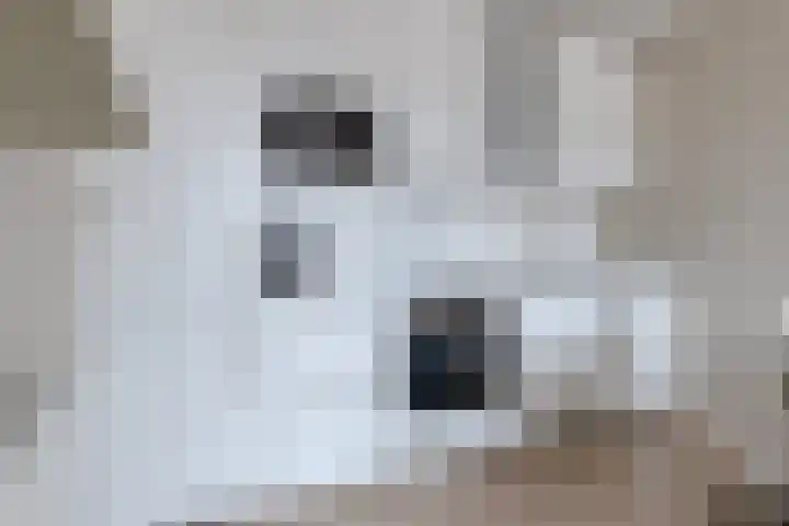 Eickerveld 37 Echt thumbnail 4