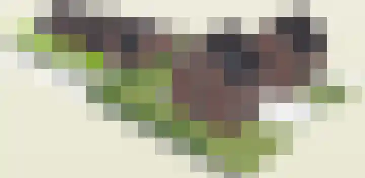 Eickerveld 37 Echt thumbnail 7