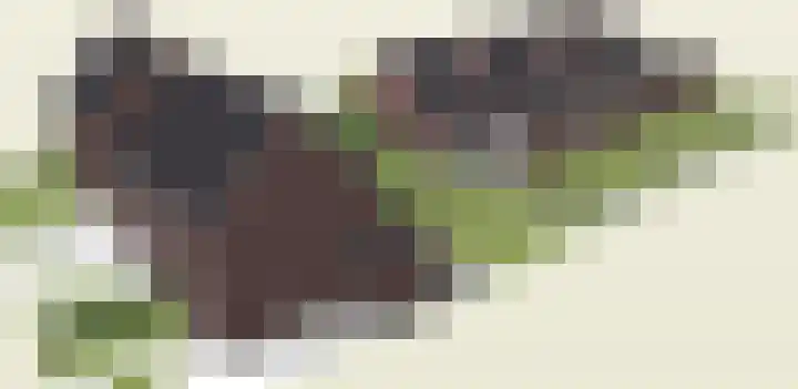 Eickerveld 37 Echt thumbnail 8