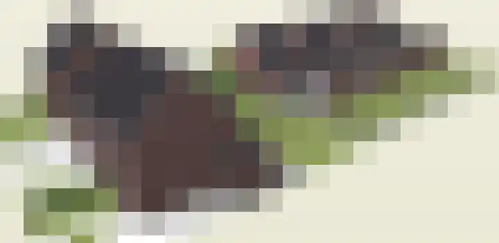 Eickerveld 39 Echt thumbnail 8