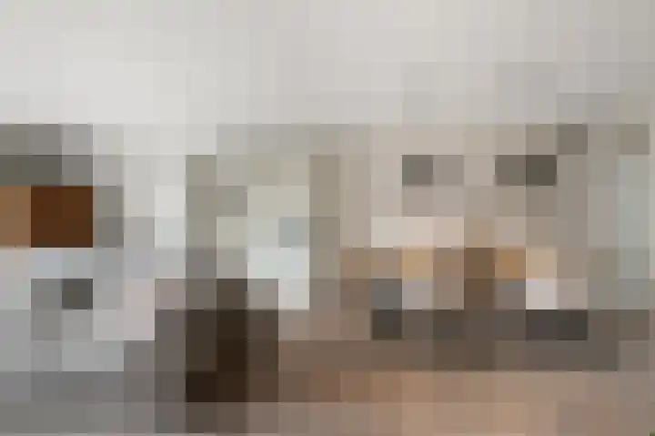 Eidereend 11 Uithoorn thumbnail 11