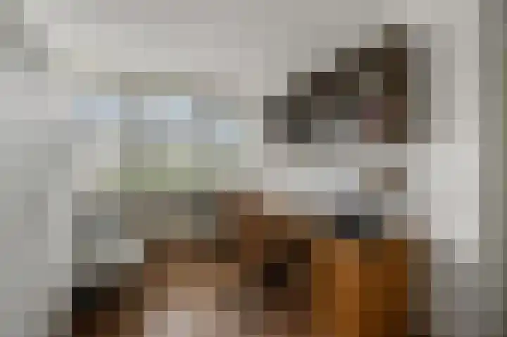 Eidereend 11 Uithoorn thumbnail 21