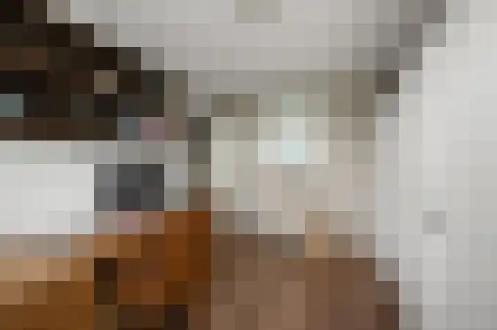 Eidereend 11 Uithoorn thumbnail 23