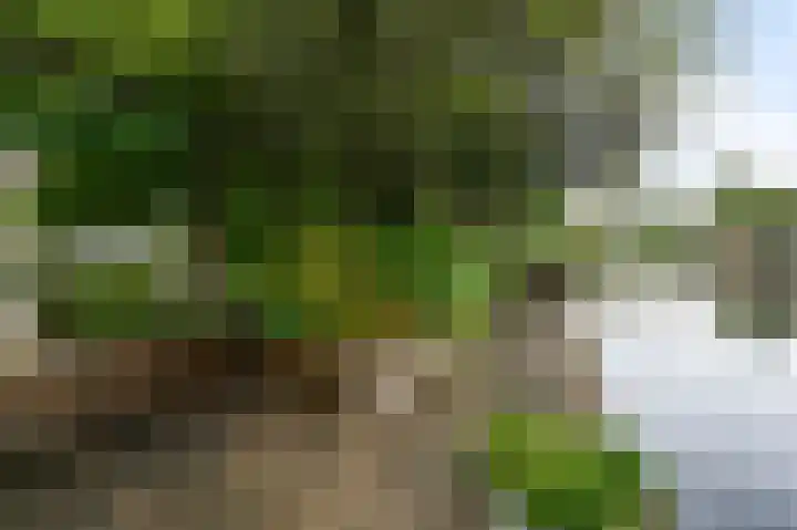 Eidereend 11 Uithoorn thumbnail 30