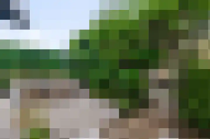 Eidereend 11 Uithoorn thumbnail 31