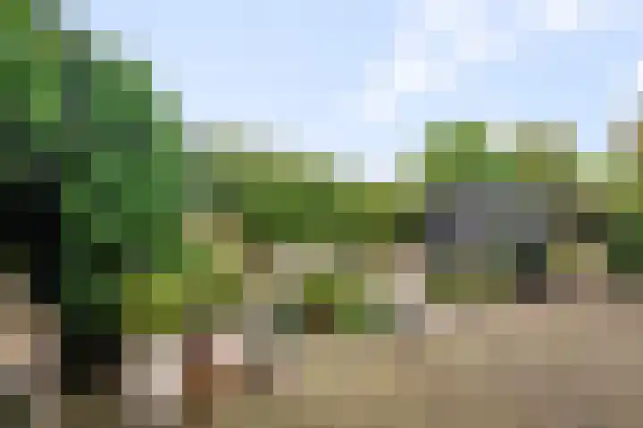 Eidereend 11 Uithoorn thumbnail 37