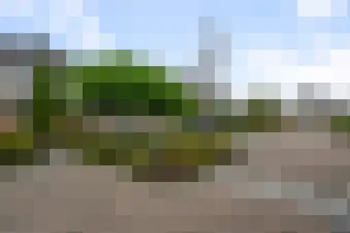 Eidereend 11 Uithoorn thumbnail 44