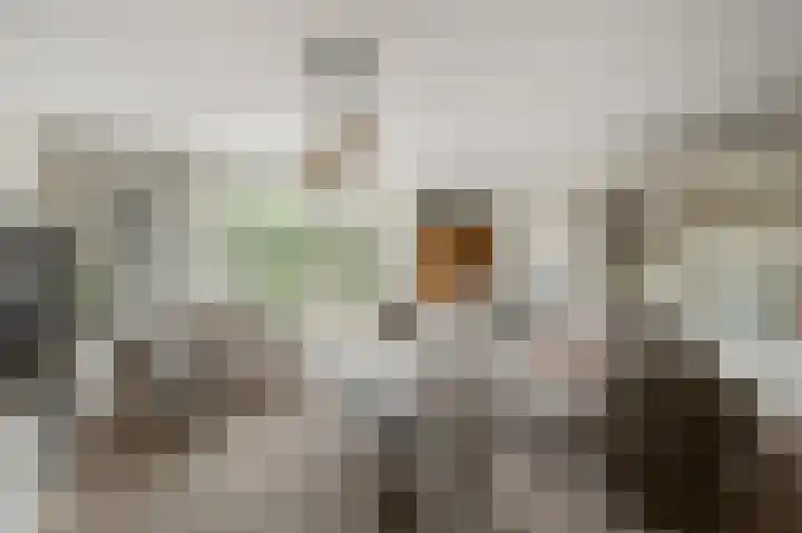 Eidereend 11 Uithoorn thumbnail 8