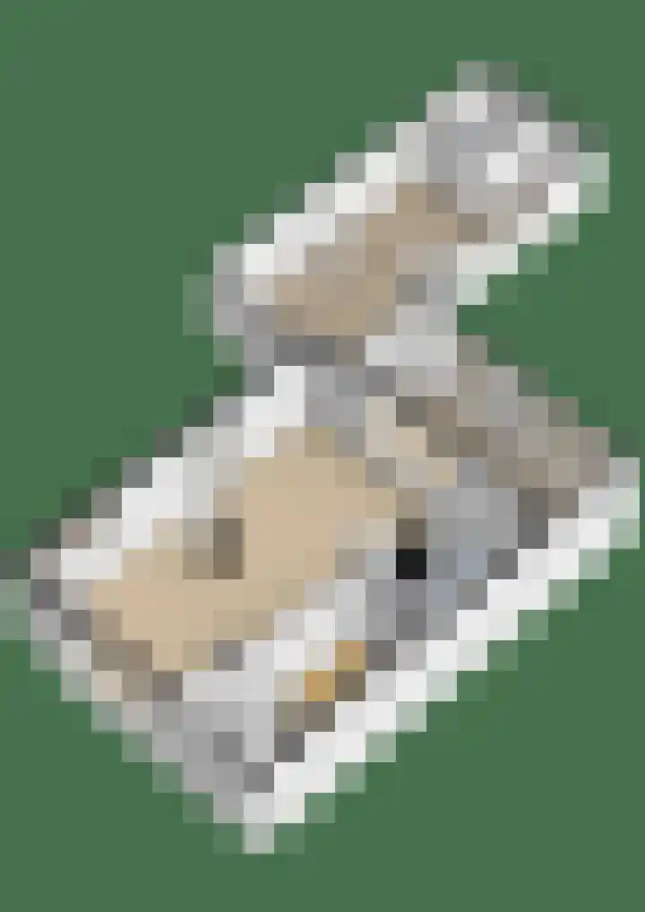 Eierveiling 6 Gorinchem