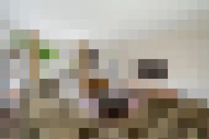 Eigelhorst 26 Rotterdam thumbnail 5