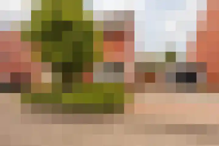 Eijckerveld 33 Ulestraten thumbnail 7