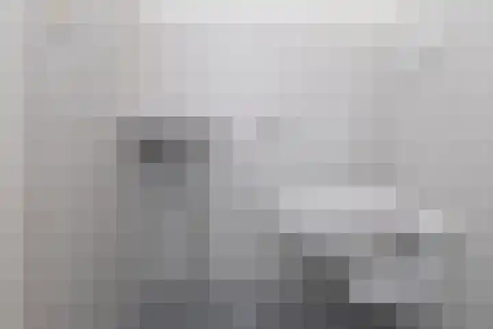 Eijerdijk 1 A Hattem thumbnail 15