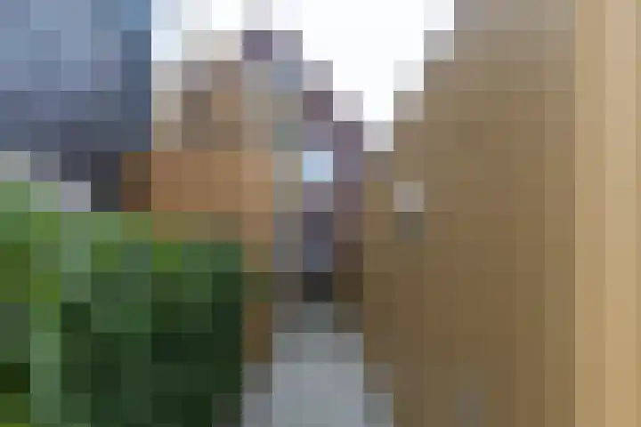 Eijerdijk 1 A Hattem thumbnail 27