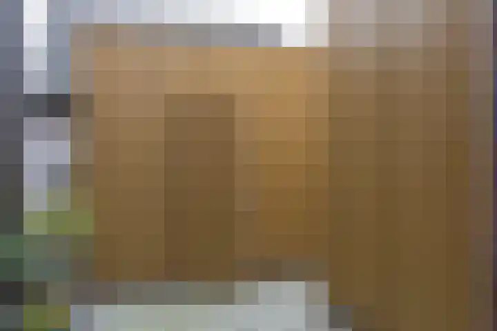 Eijerdijk 1 A Hattem thumbnail 28