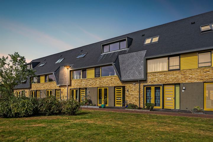 Eijkmanhof 11 in Rotterdam foto