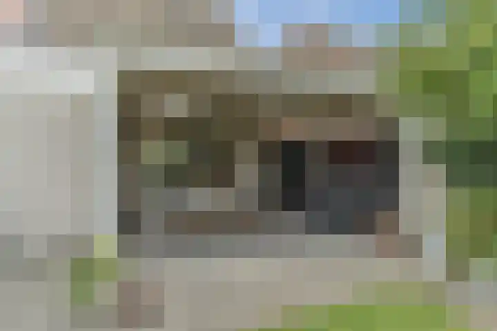 Eik 21 Best thumbnail 36
