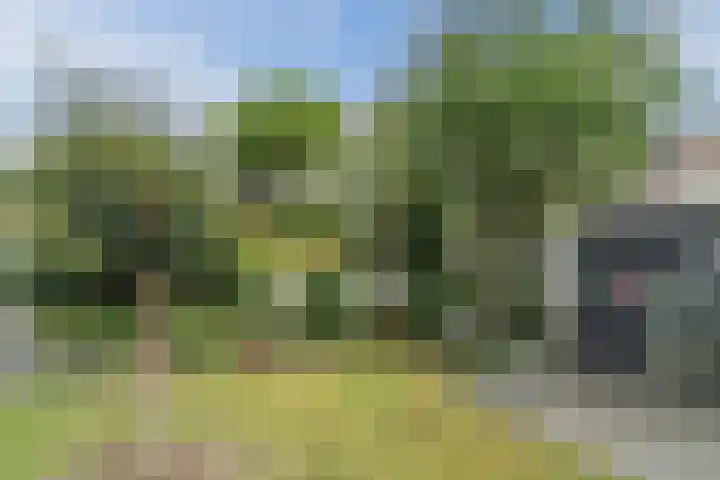 Eik 21 Best thumbnail 40