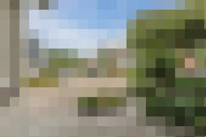 Eik 21 Best thumbnail 42