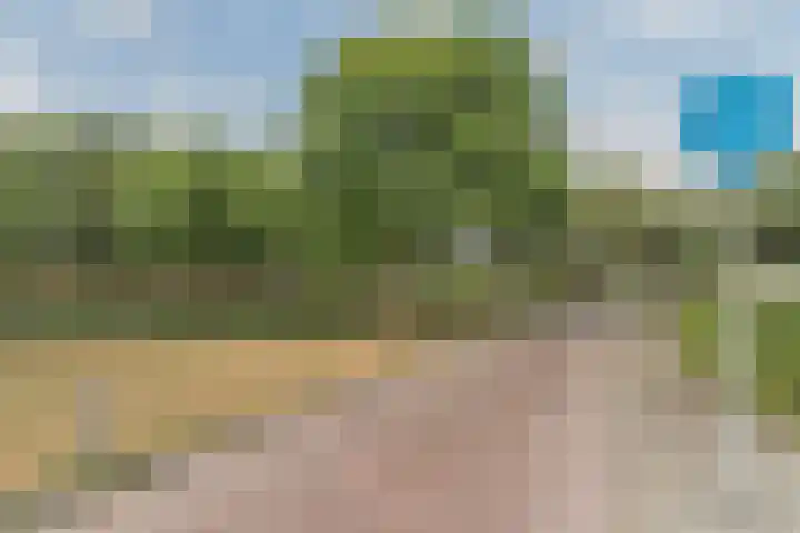 Eik 21 Best thumbnail 45