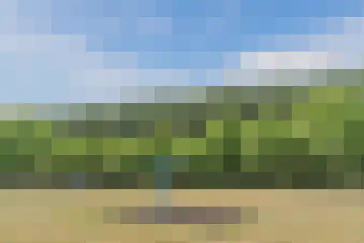 Eik 21 Best thumbnail 46