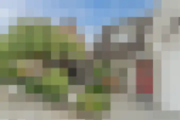 Eik 21 Best thumbnail 6