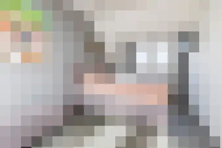 Eik 22 Best thumbnail 21