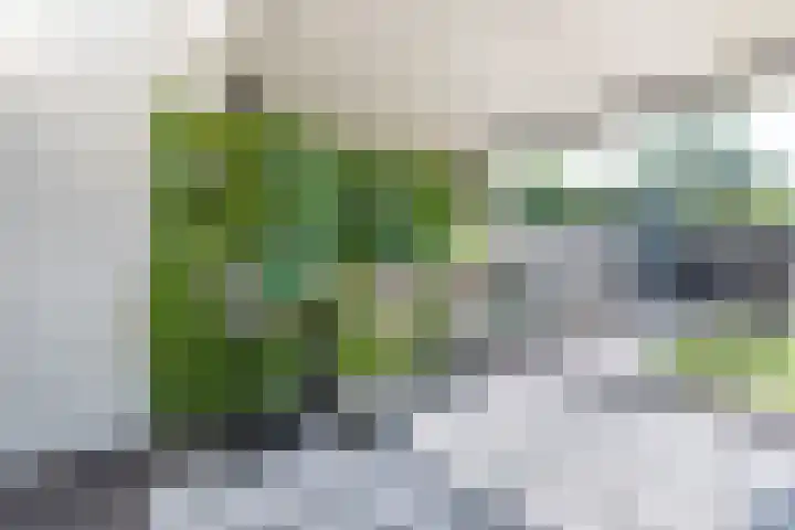 Eik 22 Best thumbnail 40