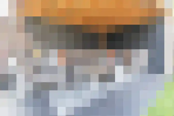Eik 22 Best thumbnail 43