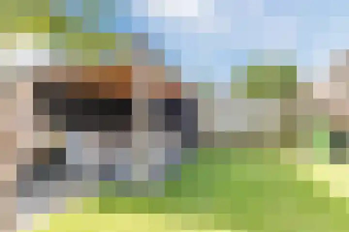 Eik 22 Best thumbnail 46