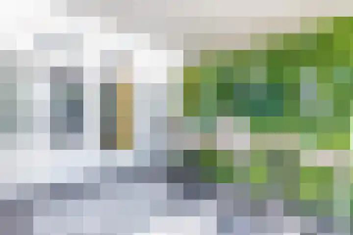 Eik 22 Best thumbnail 5