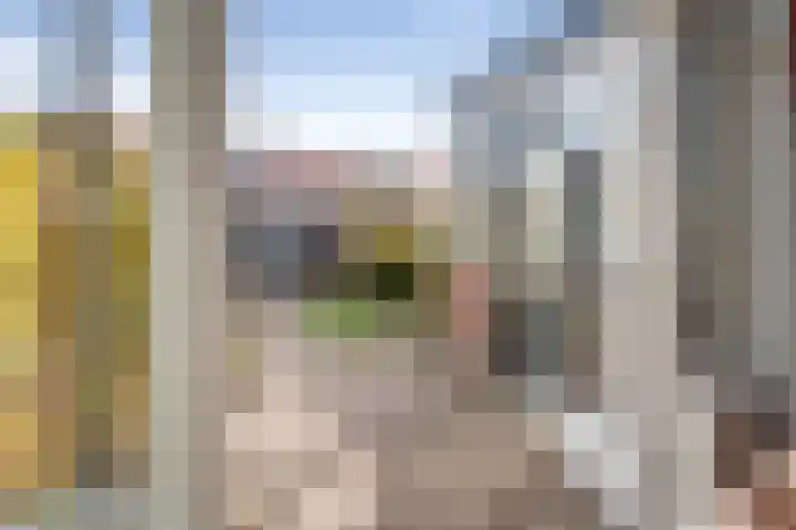 Eik 22 Best thumbnail 50