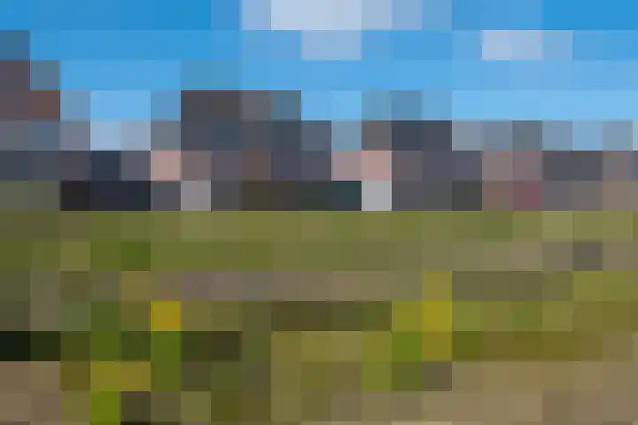 Eik 29 Leek
