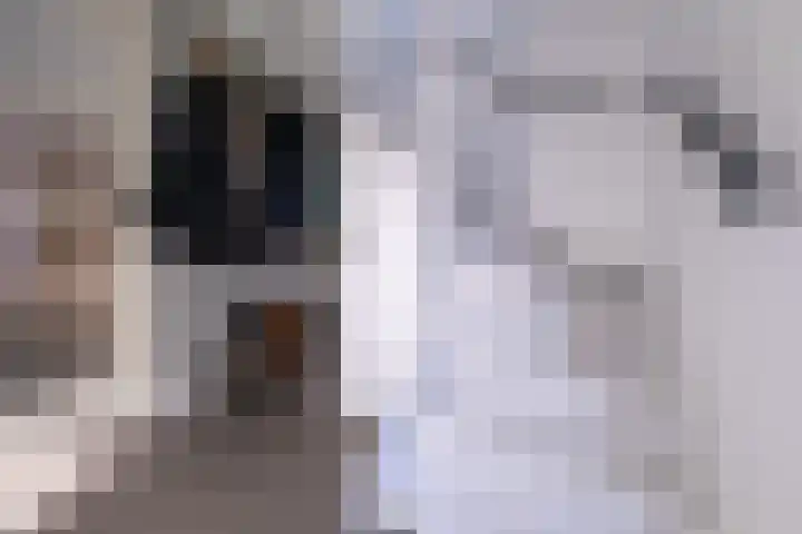 Eik 29 Leek thumbnail 10