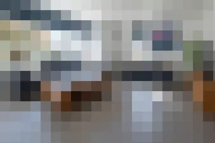 Eik 29 Leek thumbnail 13